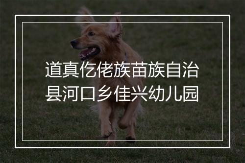道真仡佬族苗族自治县河口乡佳兴幼儿园