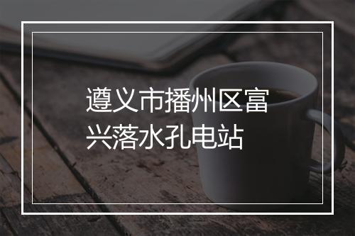 遵义市播州区富兴落水孔电站