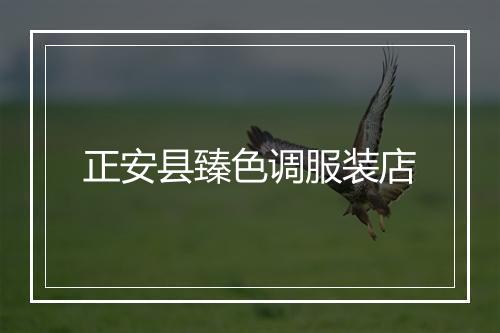 正安县臻色调服装店