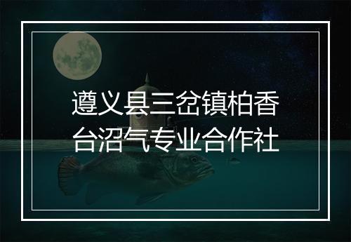 遵义县三岔镇柏香台沼气专业合作社