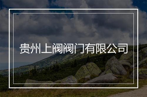 贵州上阀阀门有限公司