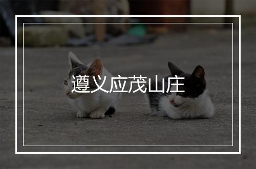 遵义应茂山庄