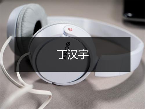 丁汉宇