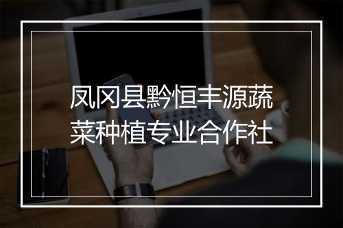 凤冈县黔恒丰源蔬菜种植专业合作社