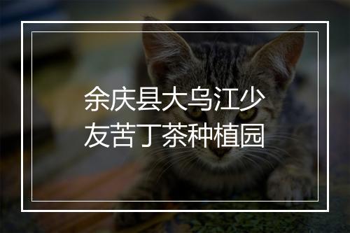 余庆县大乌江少友苦丁茶种植园