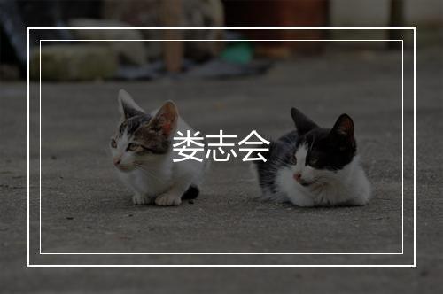 娄志会