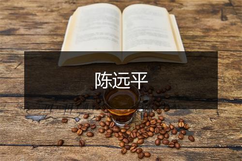 陈远平