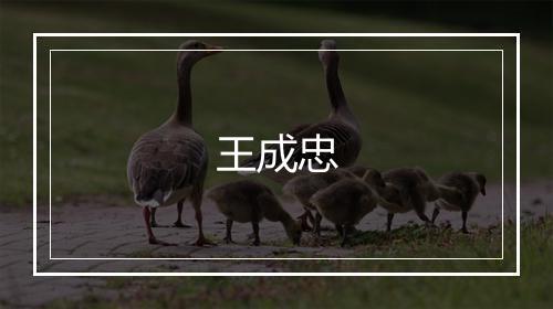 王成忠