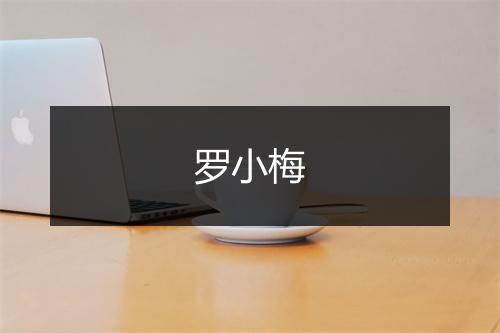 罗小梅