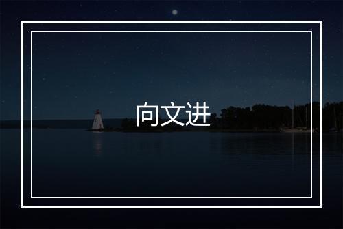 向文进