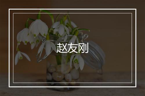 赵友刚