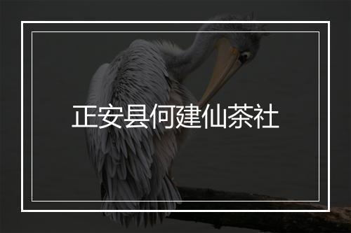 正安县何建仙茶社