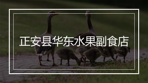 正安县华东水果副食店