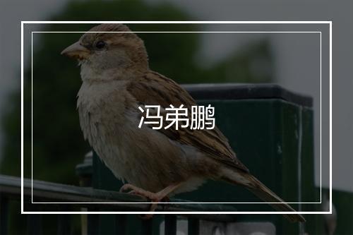 冯弟鹏