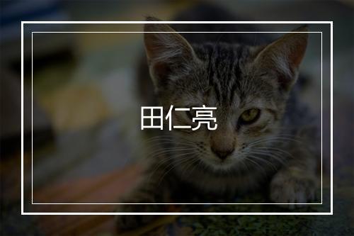 田仁亮