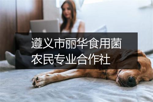 遵义市丽华食用菌农民专业合作社