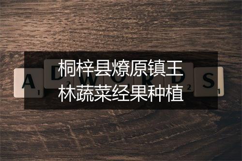 桐梓县燎原镇王林蔬菜经果种植