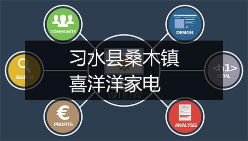 习水县桑木镇喜洋洋家电