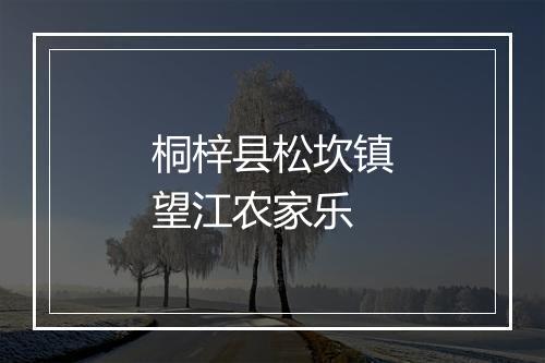 桐梓县松坎镇望江农家乐