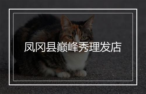 凤冈县巅峰秀理发店