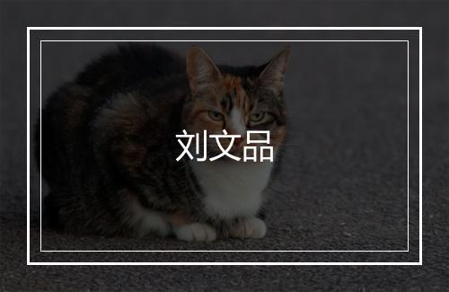 刘文品