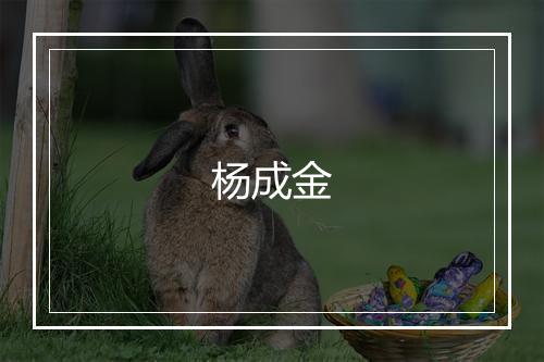 杨成金