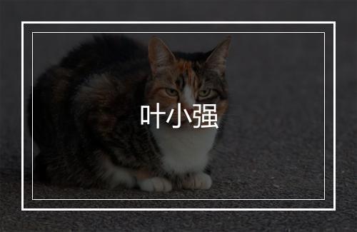 叶小强