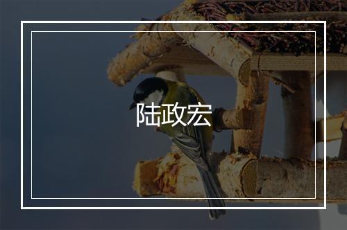 陆政宏