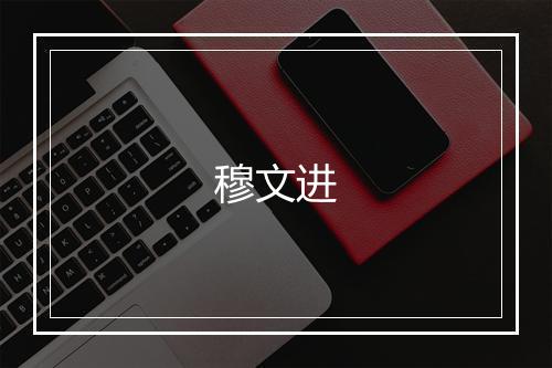 穆文进