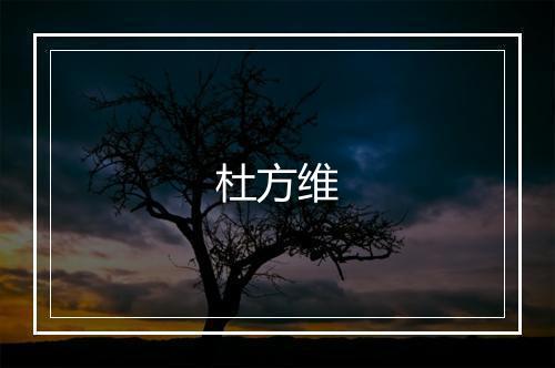 杜方维