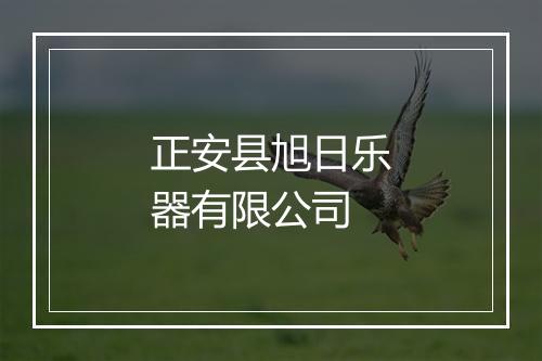 正安县旭日乐器有限公司