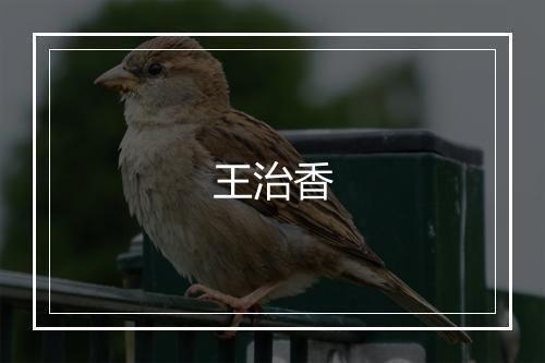 王治香