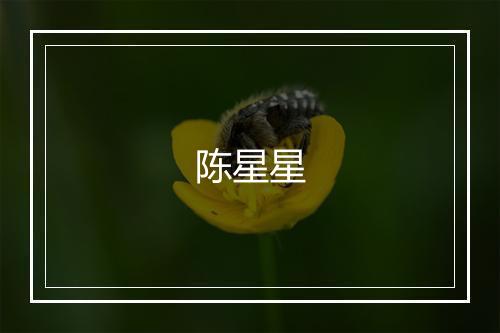 陈星星