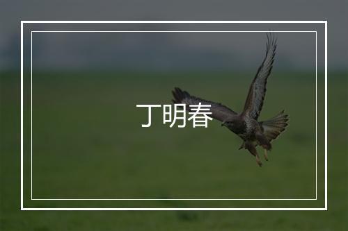 丁明春