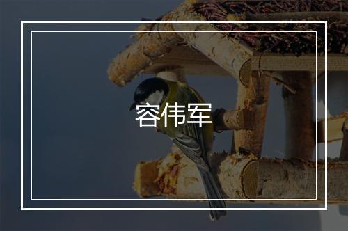 容伟军