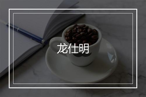 龙仕明