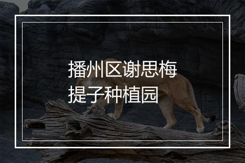 播州区谢思梅提子种植园