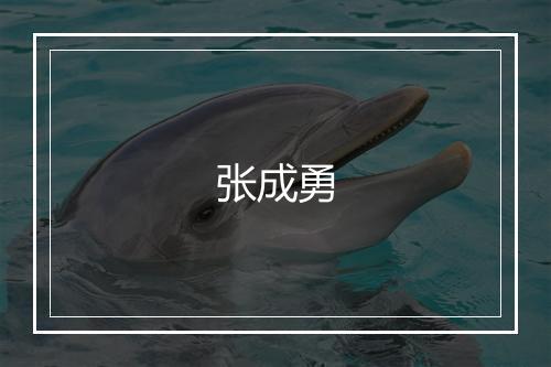 张成勇