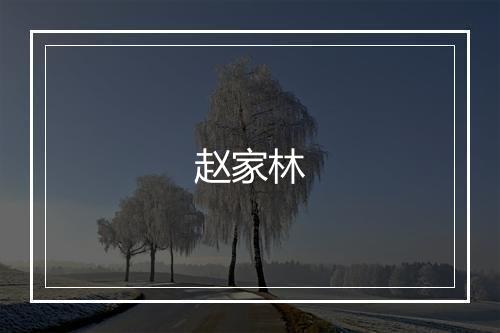 赵家林