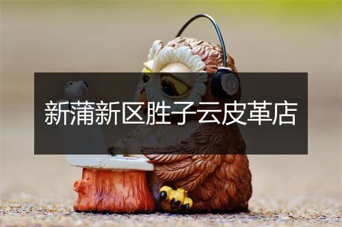 新蒲新区胜子云皮革店