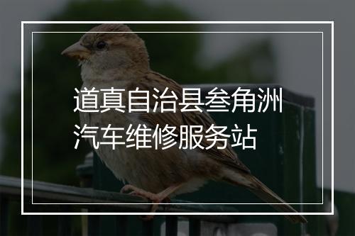 道真自治县叁角洲汽车维修服务站