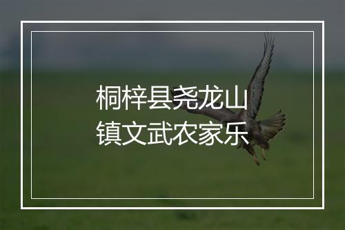 桐梓县尧龙山镇文武农家乐