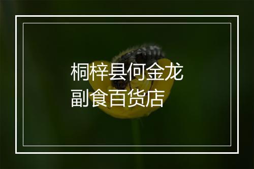 桐梓县何金龙副食百货店