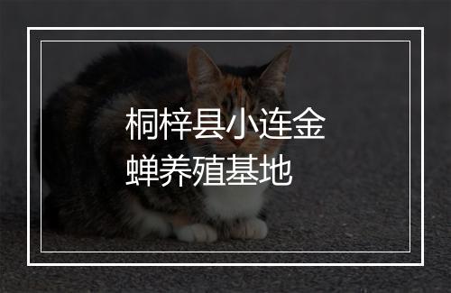 桐梓县小连金蝉养殖基地