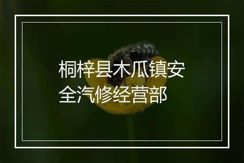 桐梓县木瓜镇安全汽修经营部