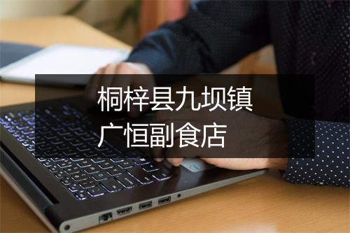 桐梓县九坝镇广恒副食店