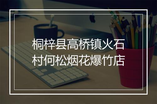 桐梓县高桥镇火石村何松烟花爆竹店