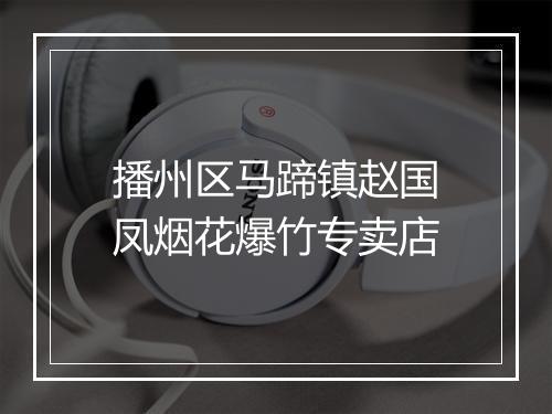 播州区马蹄镇赵国凤烟花爆竹专卖店
