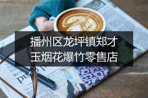 播州区龙坪镇郑才玉烟花爆竹零售店