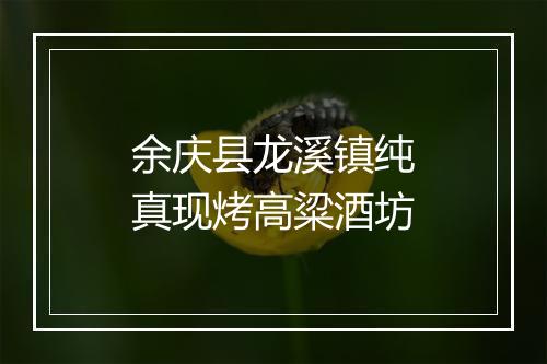 余庆县龙溪镇纯真现烤高粱酒坊